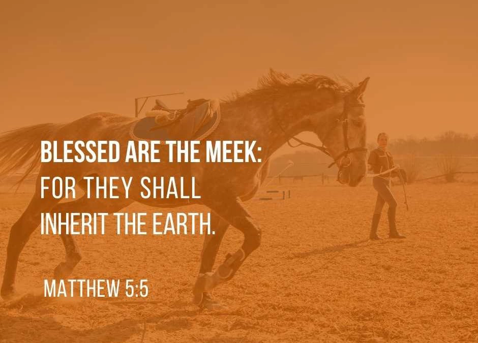 Blessed are the meek: for they shall inherit the earth. - Matthew 5:5 (NKJV)